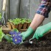 “Aloegenii” Powder Free Green Vinyl Industrial Gloves  